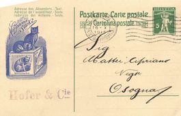 Hoffmann`s strke Hofer Lucerna